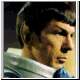 spock13.jpg