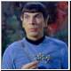 spock14.jpg